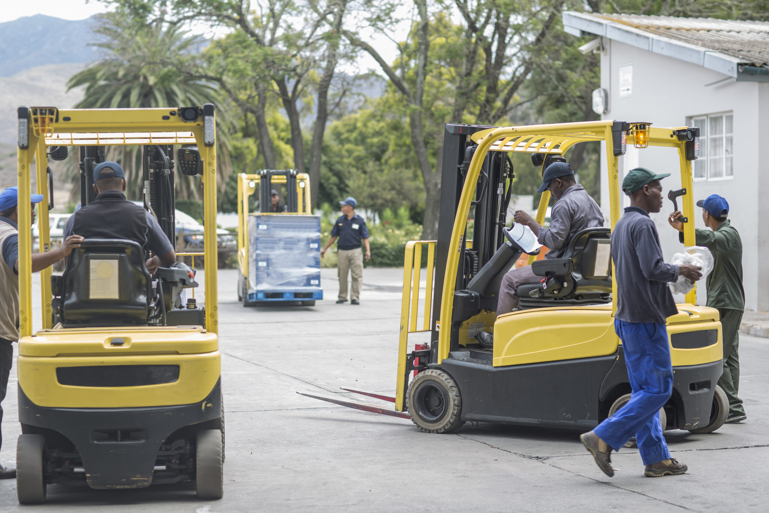 Previsões apontam para crescimento do mercado de empilhadores até 2034