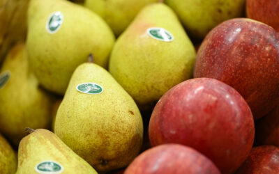 Portugal Fresh leva frutas, legumes e flores nacionais à Fruit Attraction São Paulo