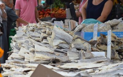 Exportações de bacalhau da Noruega para Portugal deverão diminuir em 2026