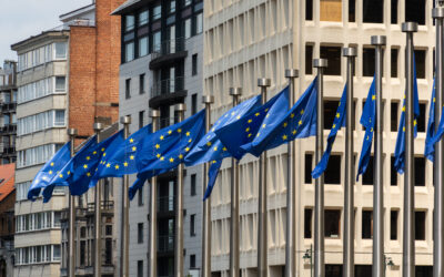 Mercosul poderá ser benéfico para a Europa na transição energética, diz Crédito y Caución