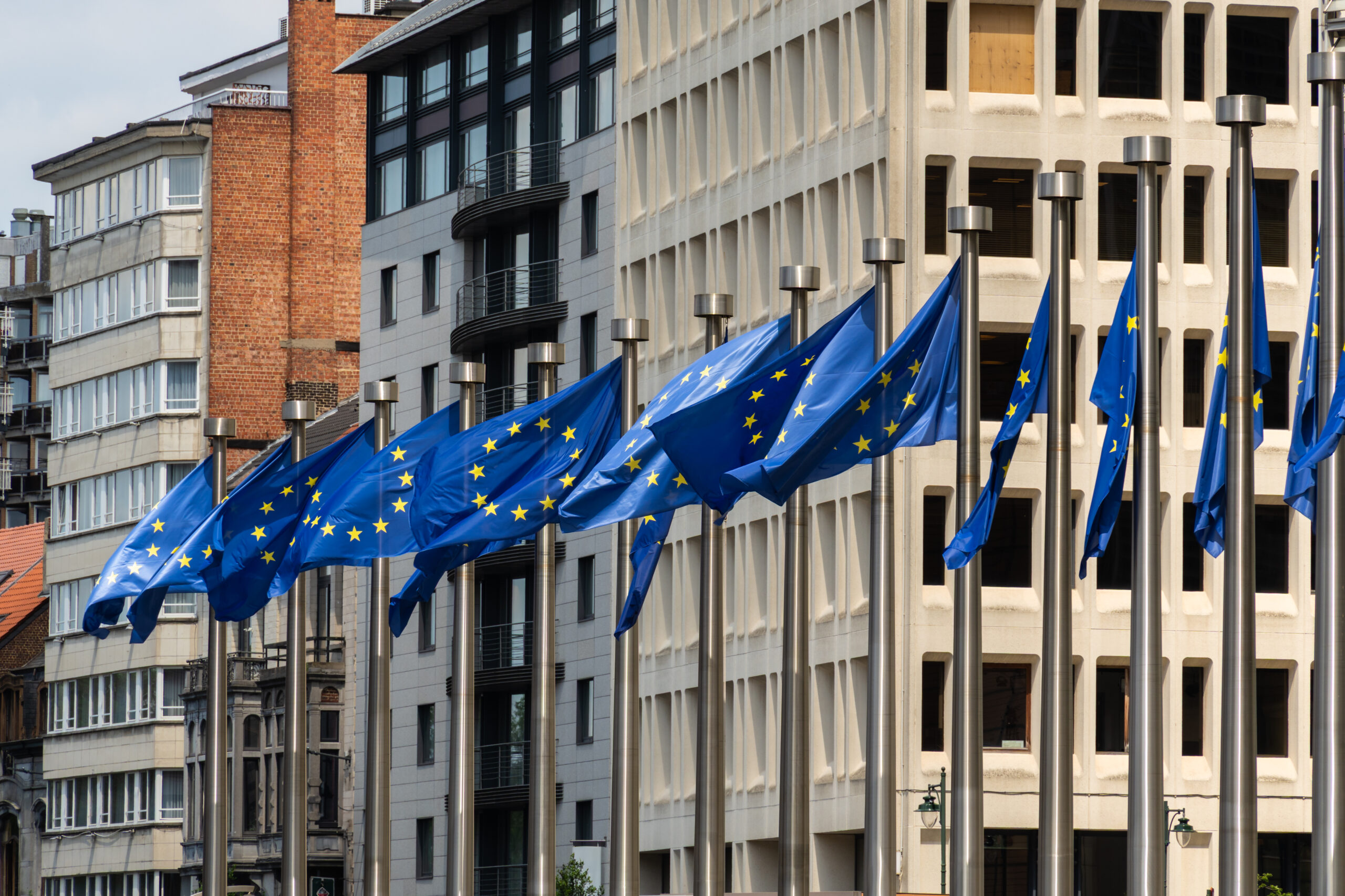 Mercosul poderá ser benéfico para a Europa na transição energética, diz Crédito y Caución