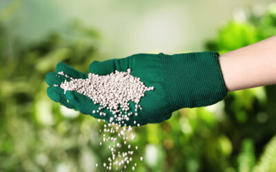 Guerra no Médio Oriente faz disparar preço dos fertilizantes