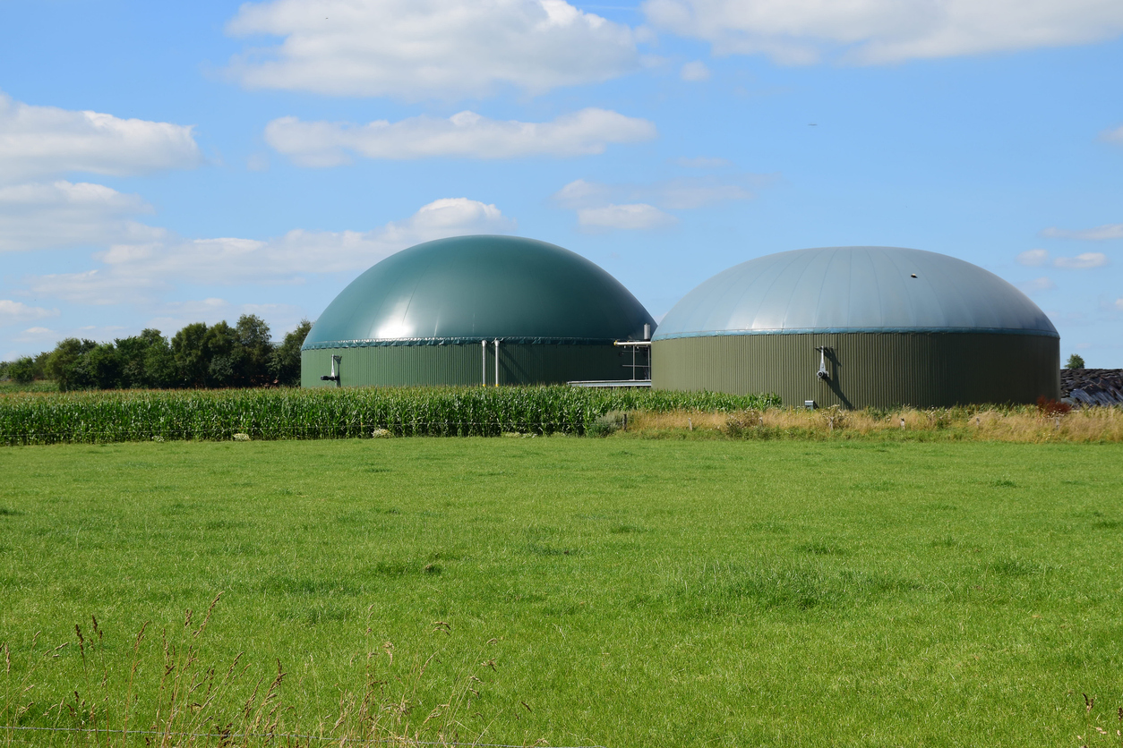 Resíduos como matéria-prima: bioenergia entra no radar do procurement