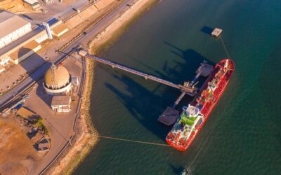 Porto de Setúbal prepara nova concessão do Terminal Multiusos da Mitrena