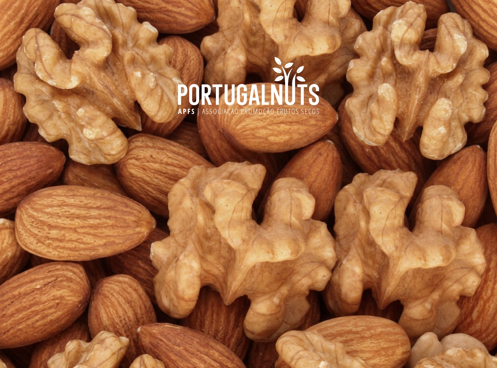 Exportações portuguesas de frutos secos cresceram 20% em 2025