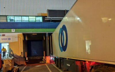 STEF investe 500 mil euros em plataforma em Coimbra