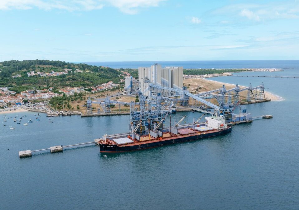 Porto de Lisboa avança com privatização da Silotagus