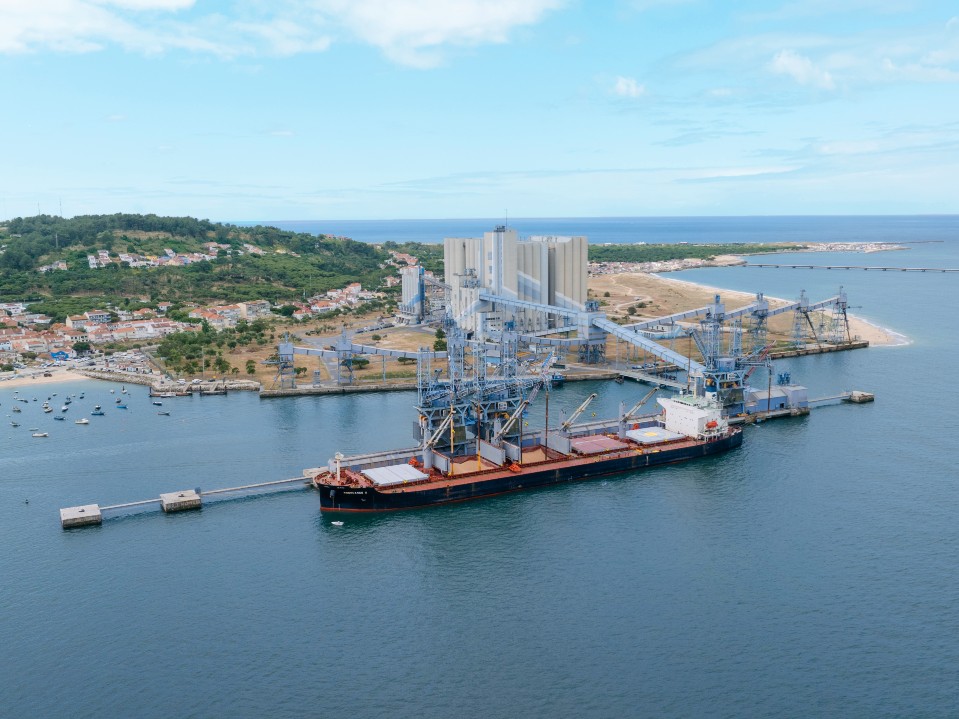 Porto de Lisboa avança com privatização da Silotagus