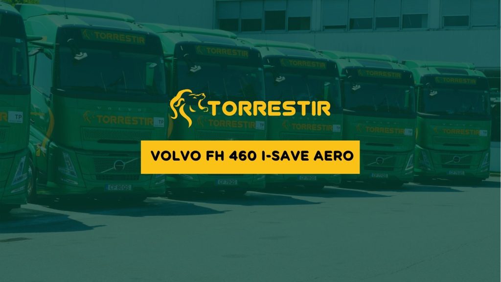 Grupo Torrestir