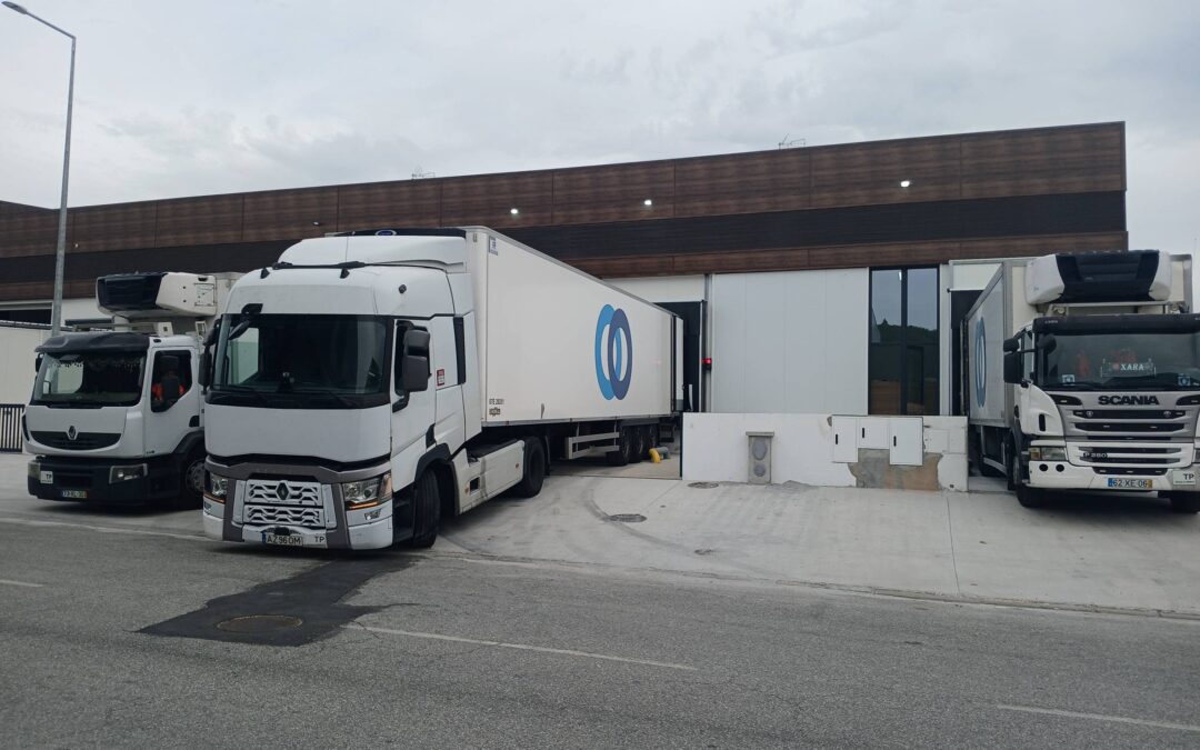 STEF investe 900 mil euros em plataforma em Viseu