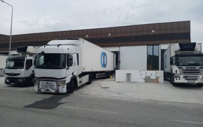 STEF investe 900 mil euros em plataforma em Viseu