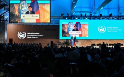 COP17 alerta para o peso da burocracia sobre os fornecedores