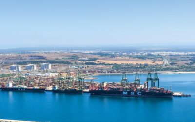 Movimento de contentores no porto de Sines com novo máximo histórico