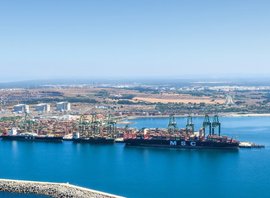 Movimento de contentores no porto de Sines com novo máximo histórico