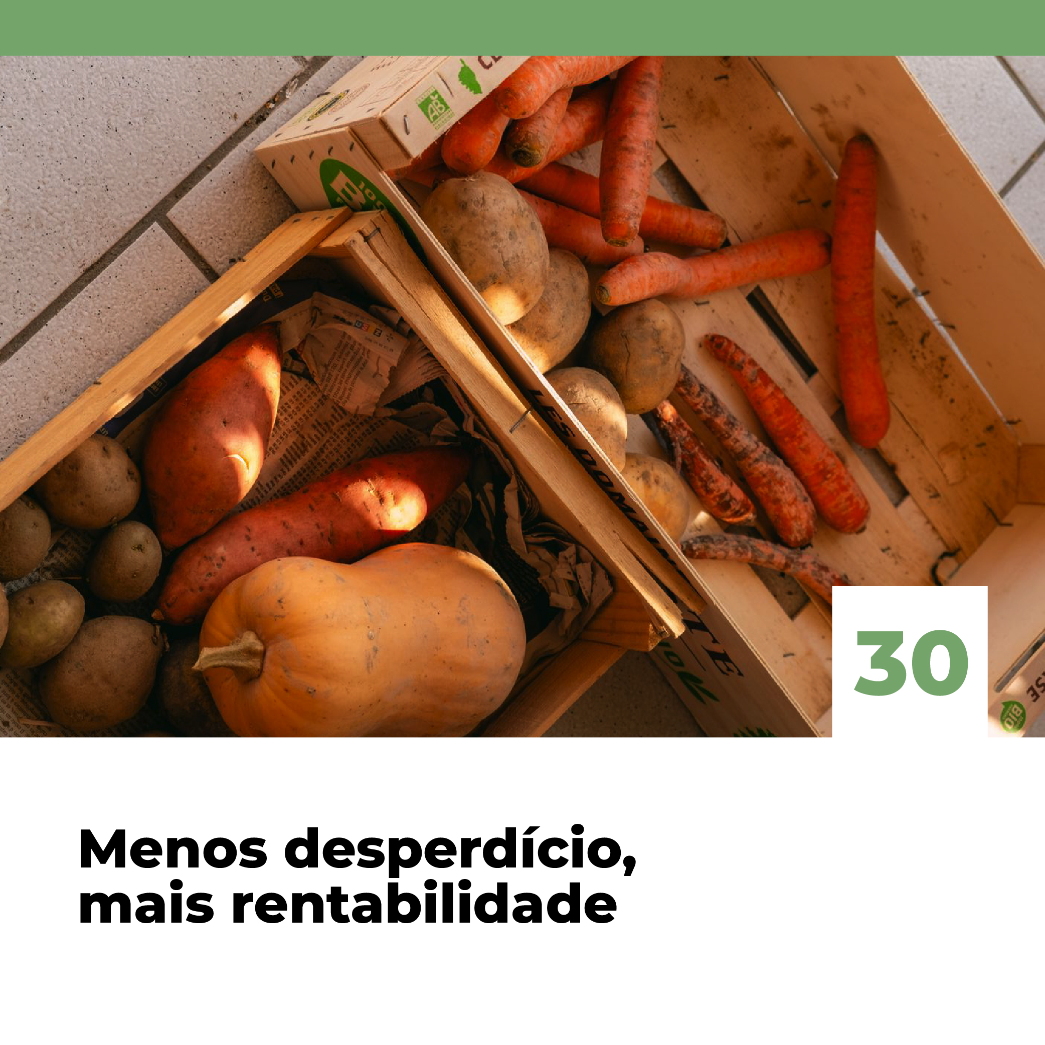 SCM_77_templates_destaque_sustentabilidade Revista SCMedia News_70_templates_destaque_intralogística