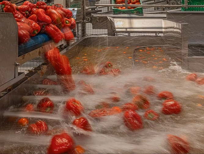 PepsiCo aposta nos fornecedores agrícolas para reforçar a resiliência do abastecimento