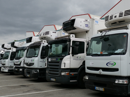 Transportes Fernando Monteiro com novo armazém em Coimbra